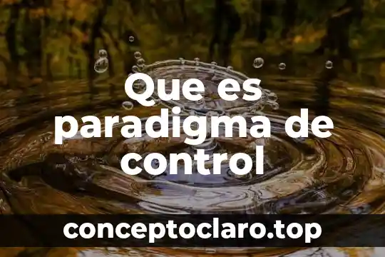 Que es paradigma de control