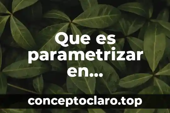 Que es parametrizar en contabilidad