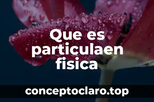 Que es particulaen fisica