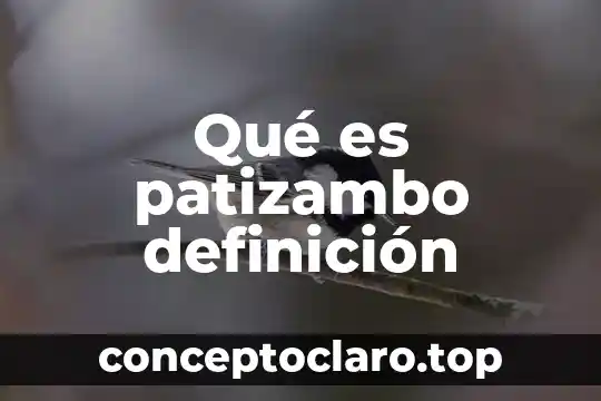 Qué es patizambo definición