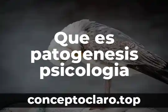 Qué es la justicia psicología social filosofía 7 Que es patogenesis psicologia