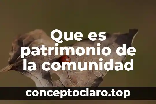 Que es patrimonio de la comunidad