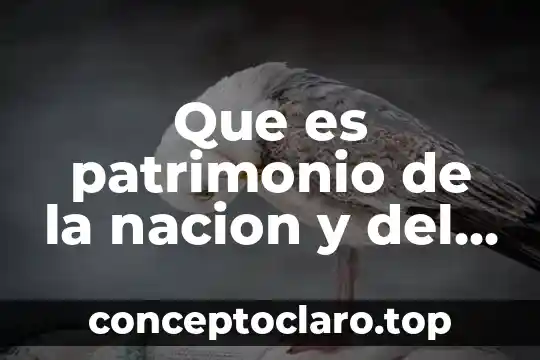 Que es patrimonio de la nacion y del estado concepto