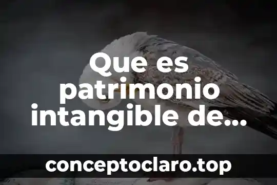 Que es el nombre que pone la comunidad científica 8 Que es patrimonio intangible de mi comunidad