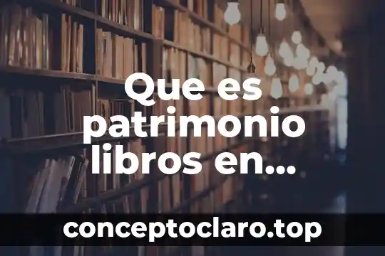 Que es patrimonio libros en materia civil