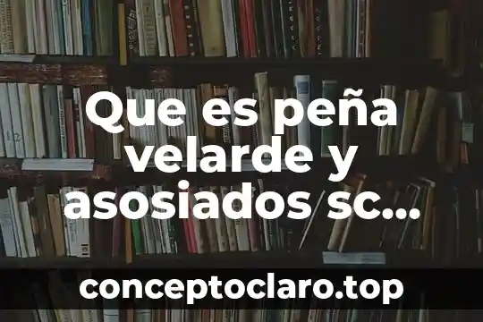 Definir que es proyecto de producción industrial 5 Que es peña velarde y asosiados sc industrial