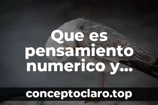 Que es el pensamiento etico 4 Que es pensamiento numerico y sistema numerico