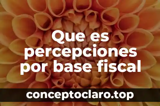 Que es percepciones por base fiscal