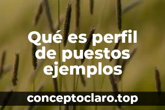 Que es perfil alro en una persona 7 Qué es perfil de puestos ejemplos