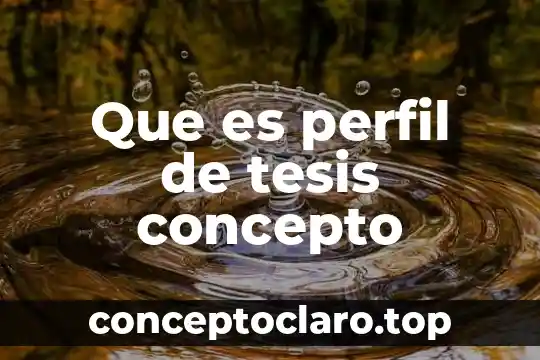 Que es perfil de tesis concepto