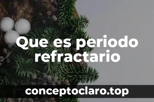 Que es periodo refractario