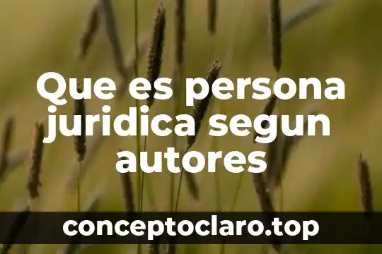 Que es persona juridica segun autores