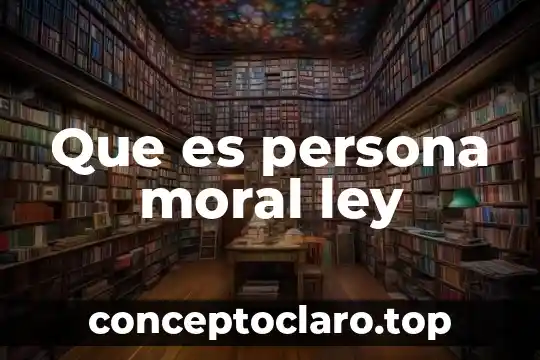 Que es persona moral ley