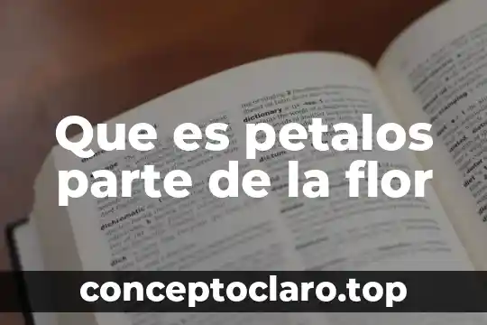Que es pistilo parte de una flor 3 Que es petalos parte de la flor