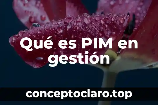 Qué es PIM en gestión