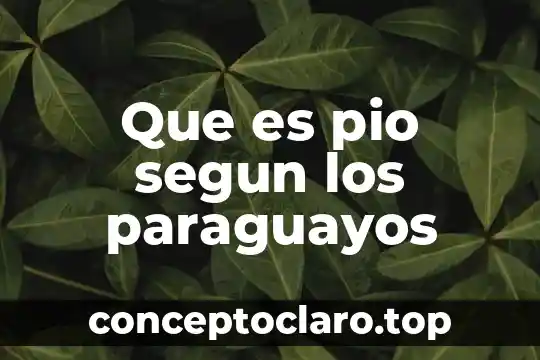 Que es pio segun los paraguayos