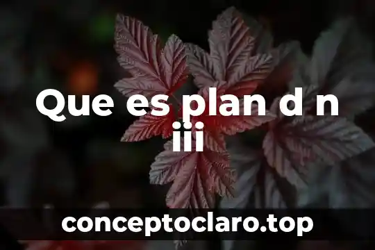 Que es plan d n iii