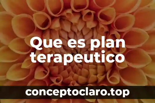 Que es plan terapeutico