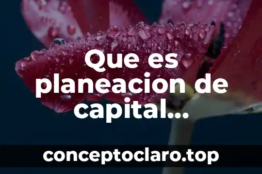 Que es planeacion de capital humano