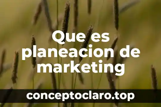 Qué es la unidad como principio de la planeación 7 Que es planeacion de marketing