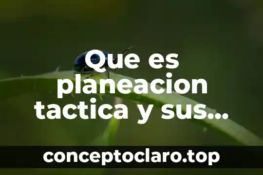 Que es planeacion tactica y sus caracteristicas