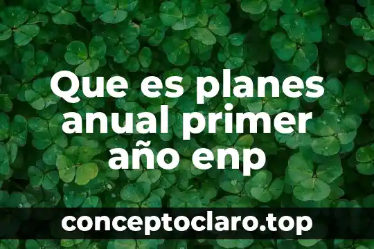 Que es el periodo inter anual 4 Que es planes anual primer año enp