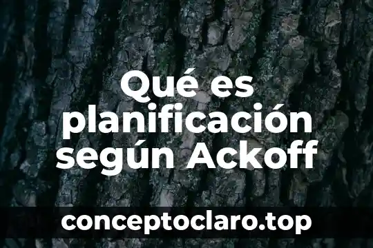 Que es el consumismo segun autores 8 Qu茅 es planificaci贸n seg煤n Ackoff