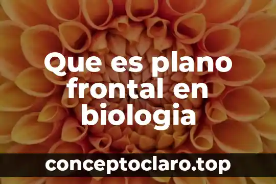 Que es un plano inclinado en la maquina simple 5 Que es plano frontal en biologia
