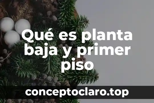 Qué es planta baja y primer piso