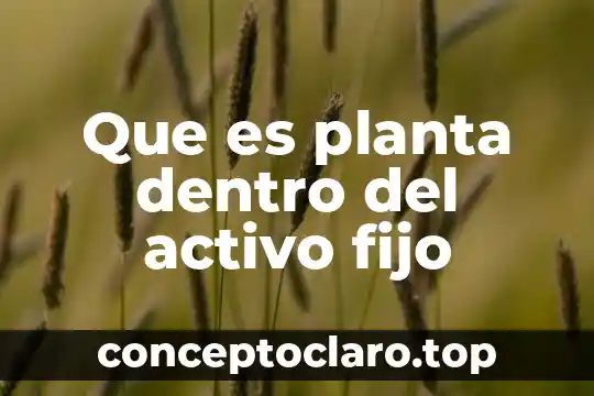 Que es planta dentro del activo fijo