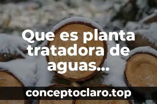 Que es el tejido dermico de una planta 3 Que es planta tratadora de aguas residuales