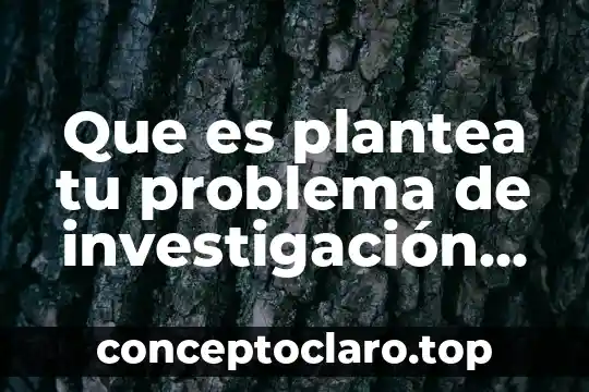 Que es plantea tu problema de investigación respecto al tema