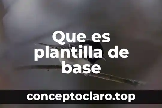 Que es un año base 3 Que es plantilla de base