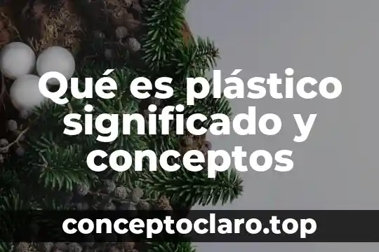 Qué es flipbook con conceptos 8 Qué es plástico significado y conceptos