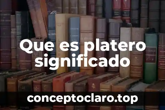 Que es platero significado
