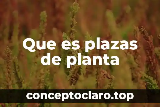 Qué es un nódulo en la planta 3 Que es plazas de planta