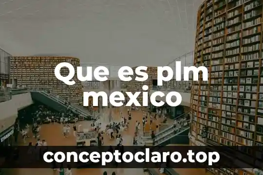 Qué es austeridad en México 4 Que es plm mexico