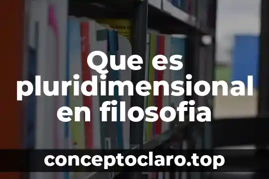 Que es pluridimensional en filosofia