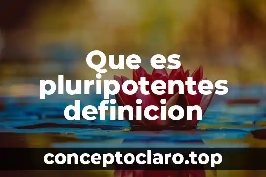 Que es pluripotentes definicion