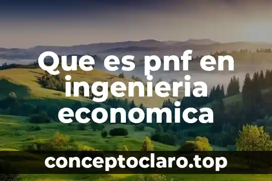 Qué es globalización económica definición 3 Que es pnf en ingenieria economica