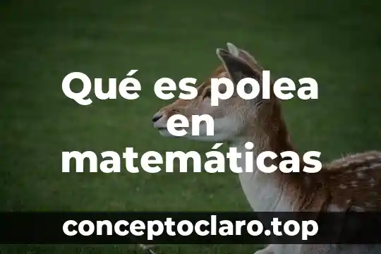 Qué es y para qué sirve una polea 3 Qué es polea en matemáticas