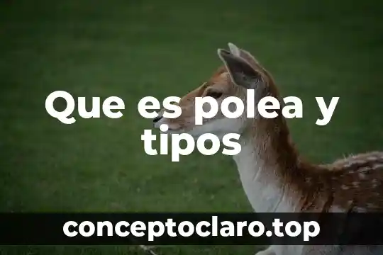 Qué es y para qué sirve una polea 5 Que es polea y tipos