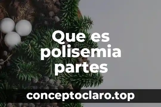 Que es una poesia y sus partes 5 Que es polisemia partes