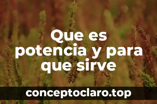 Qué es el conductismo radical en teoría de la personalidad 6 Que es potencia y para que sirve