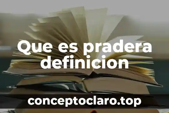 Que es pradera definicion
