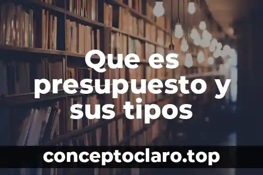 Que es presupuesto y sus tipos
