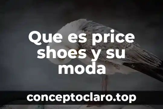 Que es la moda en todo los terminos 6 Que es price shoes y su moda