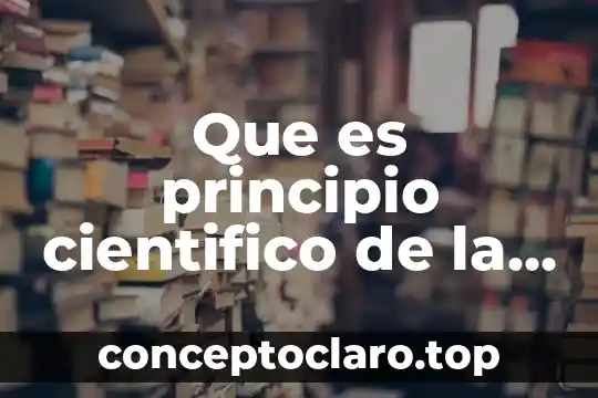 Que es principio cientifico de la normalizacion