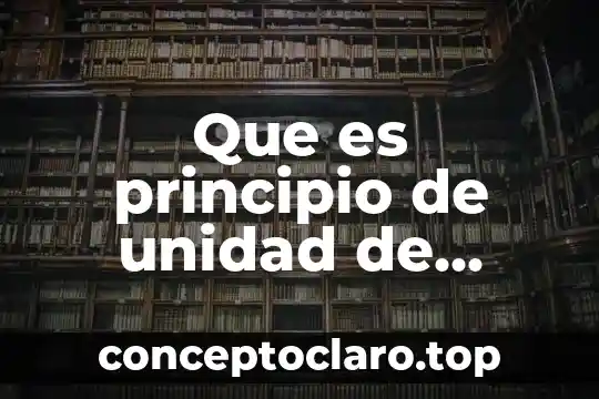 Que es principio de unidad de mando