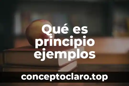 Qué es principio ejemplos
